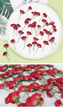 120pcs Pritisnete Posušene Rose Cvet Rastline Za Herbarij Smolo, Nakit, Izdelava Razglednic Okvir Telefon Primeru Obrti DIY