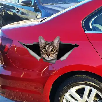 2021 Savane mačka nalepko, mačka avto nalepke, smešno nalepke, mačka avto nalepke