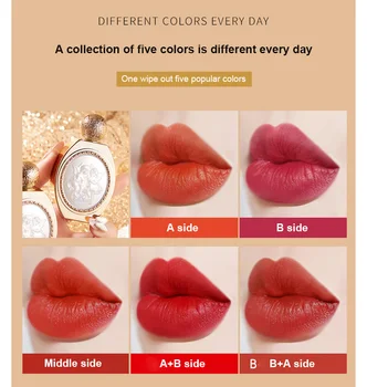 Multi-barve Premaz za Dolgo-trajno Nepremočljiva Vlažna Šminka Enostavna Za Rabo Mat Prenosni Hitro Suhe Ustnice Ličila Kozmetiko TSLM1