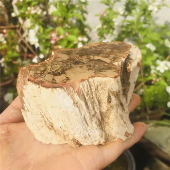 Naravni Strah lesa fosilna izvirna kamen surovi Rock Kristalov Kremena Mineralnih Vzorcu Zdravljenje Reiki doma Dekor