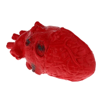 Veren Človeško Srce Model-Chop Shop Del Telesa Organ Halloween Grozo Prop Dekoracije Šole Lab Dobave Študent Igrača 16 cm